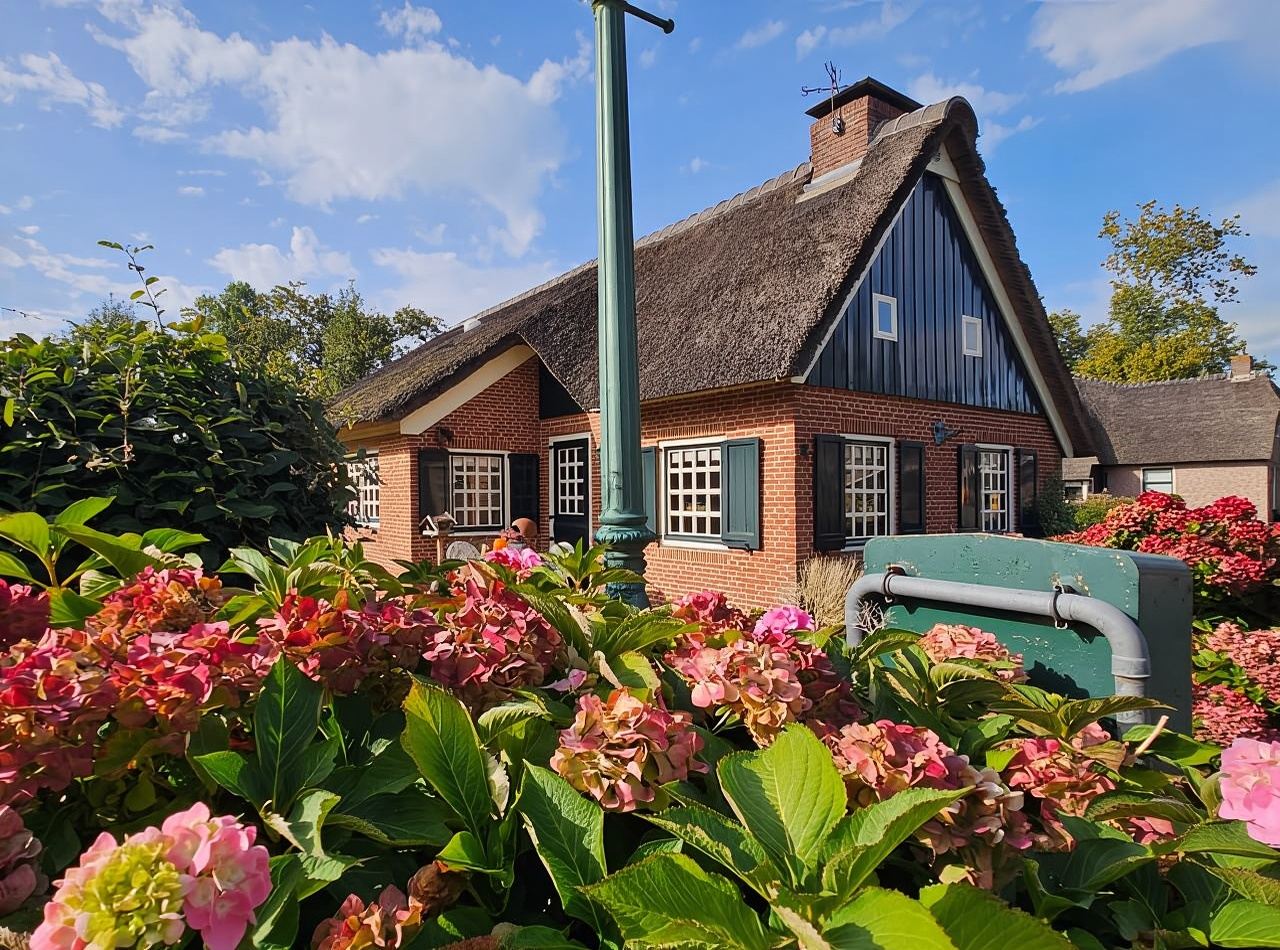 Amsterdam: tour di Giethoorn, Zaandam e Zaanse Schans con ritiro