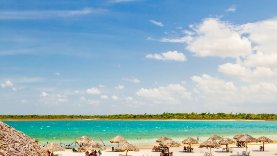 From Jericoacoara: Preá Beach and Paradise Lagoon Tour
