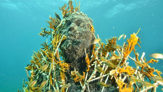 Cancún: Museo Subacuático y Arrecife para Buzos Certificados