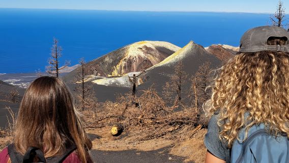 La Palma: Tajogaite Volcano Guided Trek