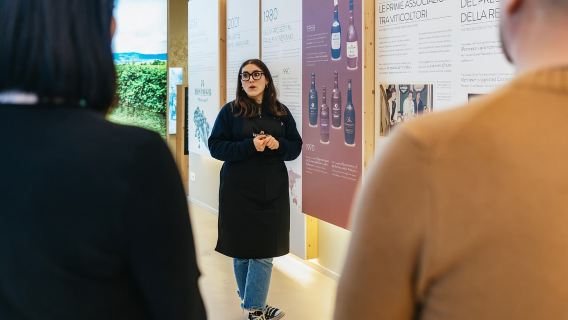 Verona: visita alla cantina Montresor con degustazione di vini e snack