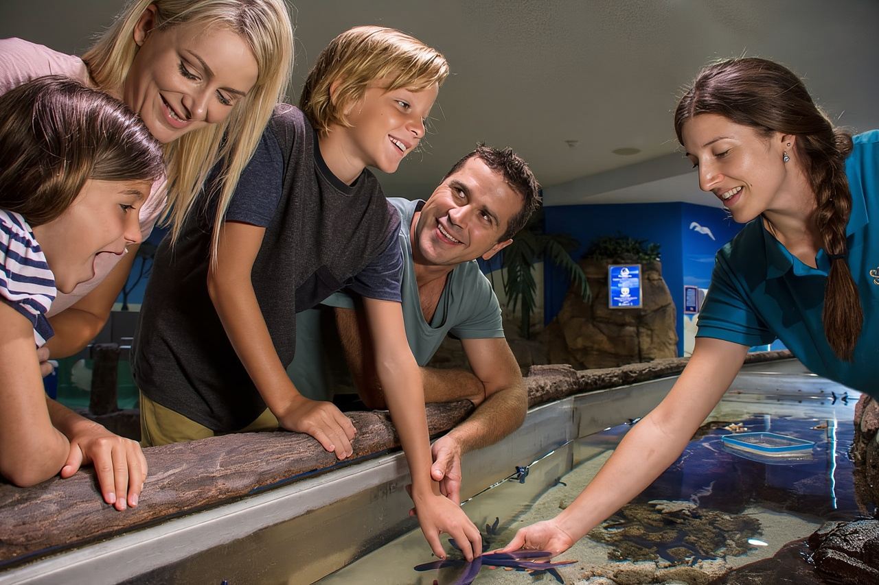 Sunshine Coast: SEA LIFE Sunshine Coast-toegangsticket