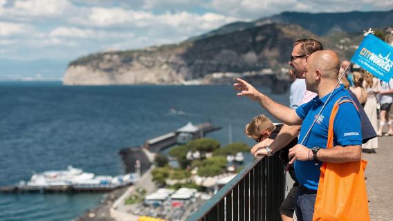 จากโรม: ปอมเปอี ชายฝั่งอามาลฟี และซอร์เรนโตแบบไปเช้าเย็นกลับ