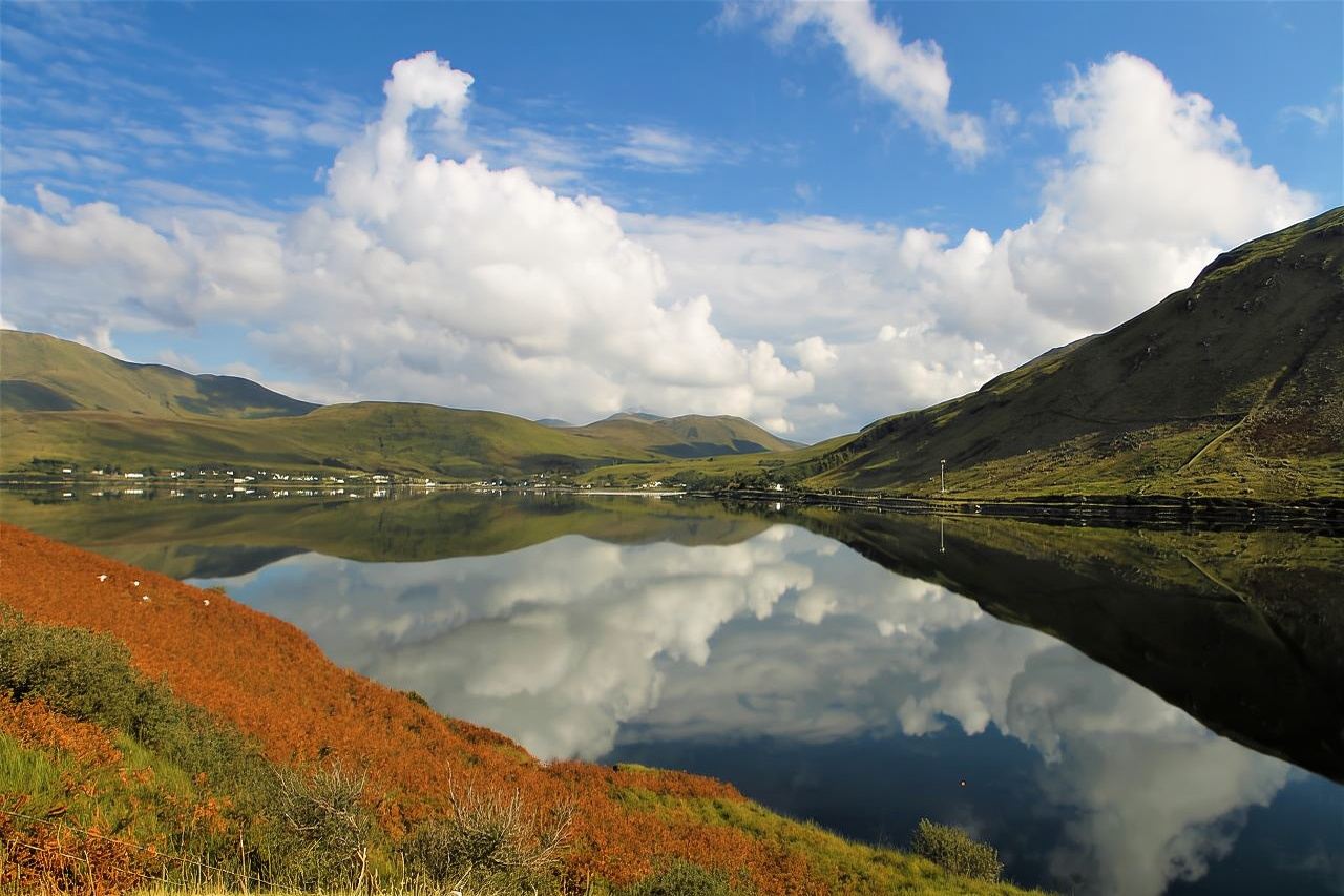 Demostración de pastoreo con perros pastores en una granja de ovejas en activo. Galway. Guiada.