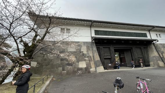 Tokyo: Temukan Tur Sepeda Sehari Penuh Tradisional Tokyo
