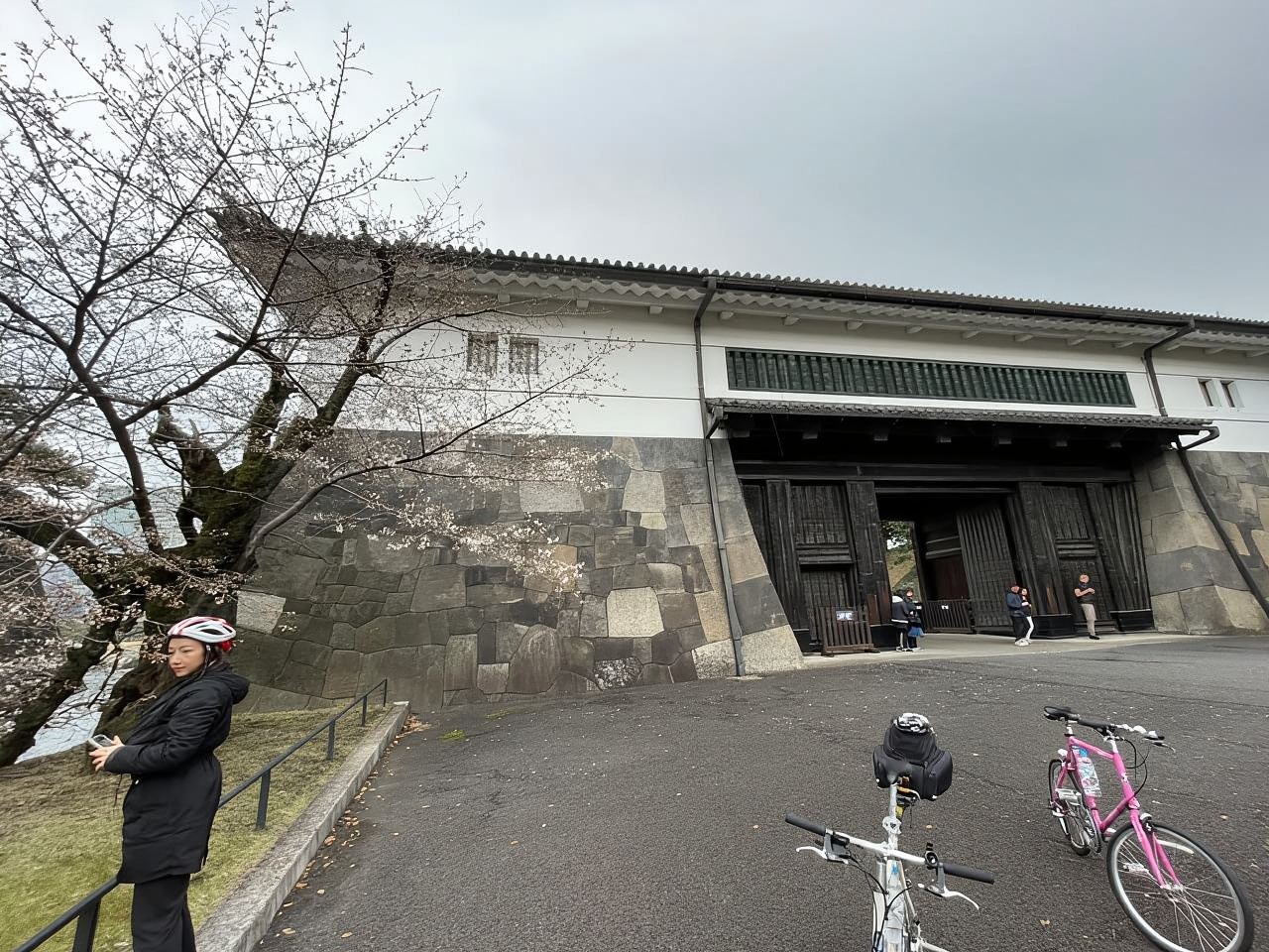 Tokyo: Scopri il Tour in Bicicletta di un Giorno Intero nella Tokyo Tradizionale
