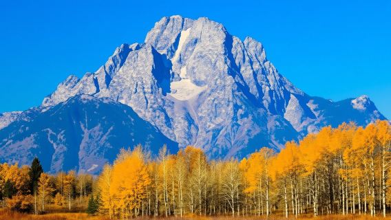 Grand Teton National Park Self-Guided Driving Tour