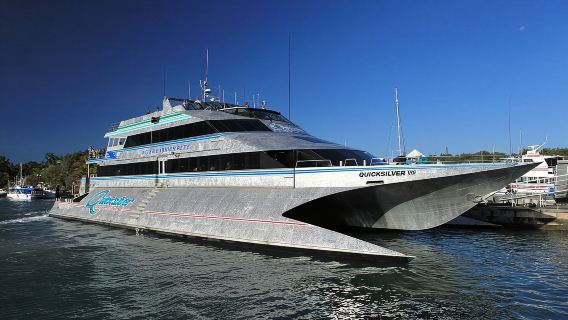 [Có thể kết hợp trực thăng/lặn sâu] Tour 1 ngày đến Rạn san hô Agincourt trên tàu Quicksilver từ Cairns – Rạn san hô Great Barrier