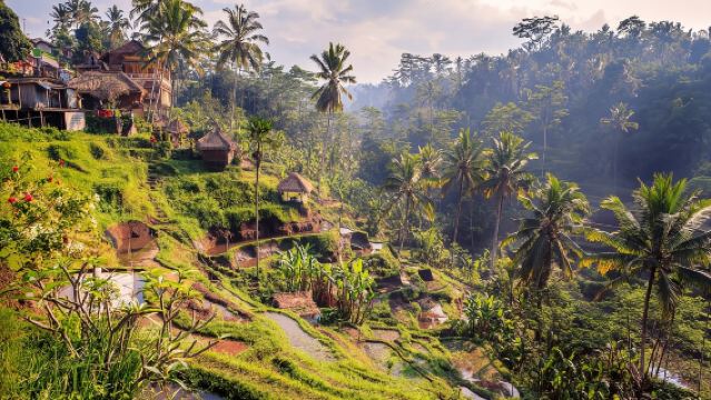 印尼泗水 地陪 旅行導遊 商務翻譯/私人定制/自由行地接