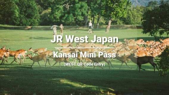 [Billet officiel] Passe JR Kansai Mini Rail 3 jours (accès avec code QR WEST)