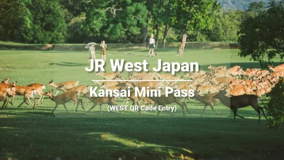 Official Ticket] JR HARUKA Kansai Airport Limited Express Ticket