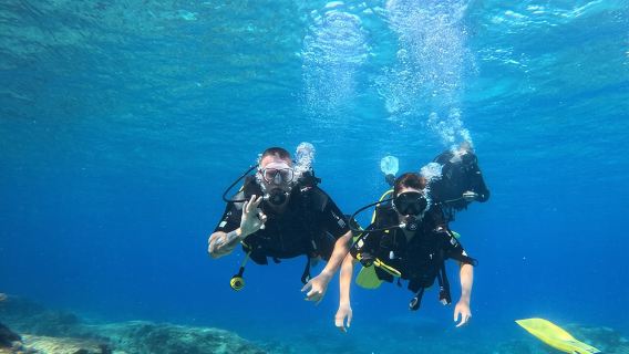 Discover Scuba diving at Green bay statues