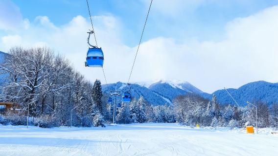 Jr pass Tohoku and south Hokkaido area 6-day rail pass [free global EMS shipping - shipped from Taiwan]