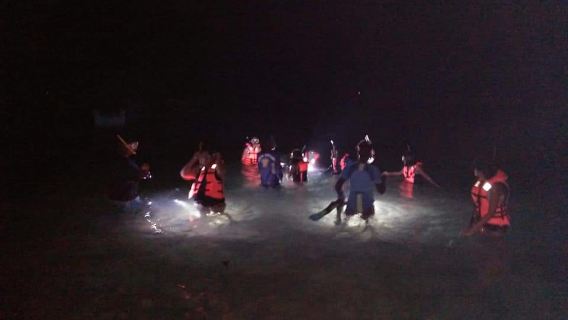 Двухчасовой дайвинг снорклинг в Мириссе, Шри-Ланка