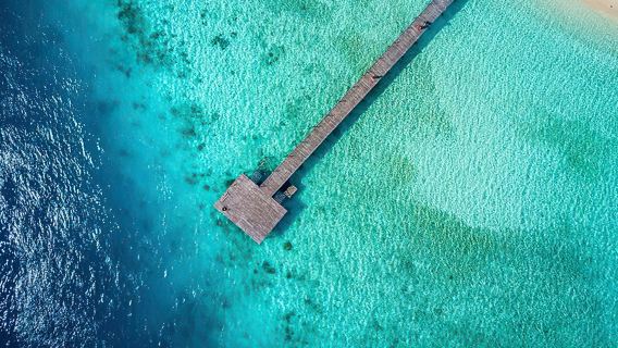 ทัวร์วันเดียว/ทัวร์หลายวัน เซมปอร์นา มาตากิง/ทิมบา ทิมบา/เกาะปันดานัน สัมผัสประสบการณ์ดำน้ำตื้นแบบดำน้ำลึก