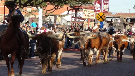 Tour storico di Fort Worth da Dallas