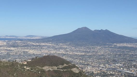 Pompeii & Vesuvius with Lunch & Wine Tasting from Amalfi Coast