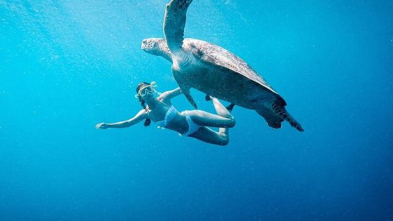 Gili Island Snorkeling Trip - Gili Trawangan, Gili Meno, & Gili Air, From Lombok