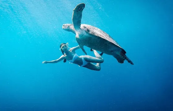 吉利群島浮潛之旅 - 特拉旺岸島、吉利美諾島及吉利艾爾島，從龍目島出發