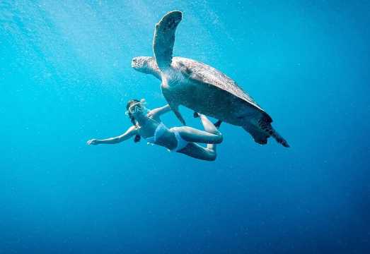 Gili Island Snorkeling Trip - Gili Trawangan, Gili Meno, & Gili Air, From Lombok