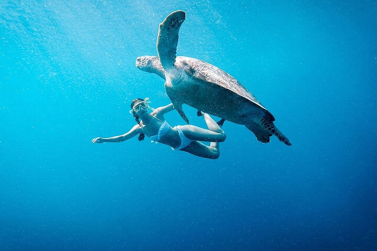 Gili Island Snorkeling Trip - Gili Trawangan, Gili Meno, & Gili Air, From Lombok