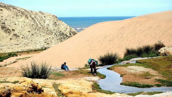 Walk to the cascade and marabout of Sidi Mbark & for a tea to Kaouki