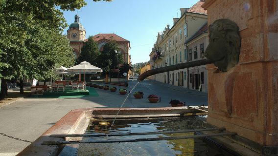 Private Day Tour to Fruska Gora Monasteries, Sremski Karlovci and Novi Sad
