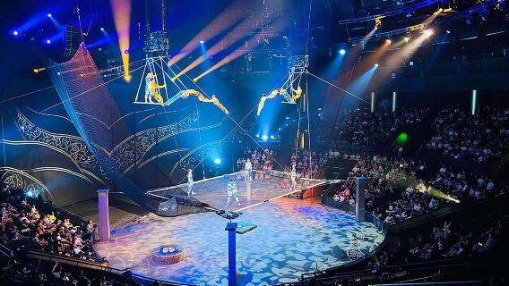 Entrada para el espectáculo de acrobacias del Teatro Shanghai Era