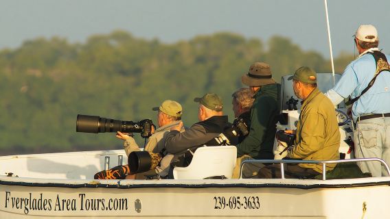 Two-Hour Everglades Dolphin, Manatee and Birding Boat Tour