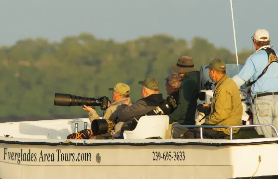 兩小時大沼澤地海豚、海牛和觀鳥遊船之旅