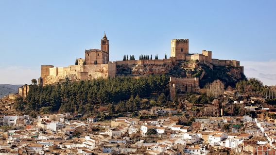 Ohne Anstehen: Eintrittskarte für Fortaleza de la Mota