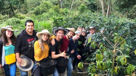 Lawatan Sehari Lembah Cocora, Salento dan Ladang Kopi
