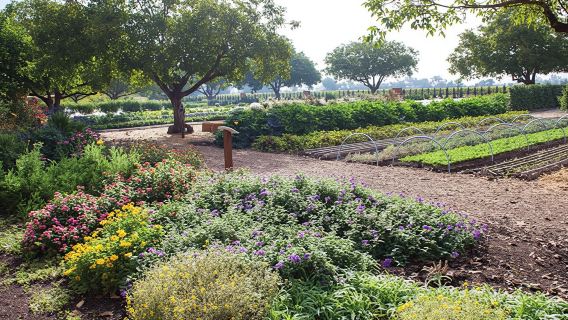 Redwoods Wine & Dine Tour