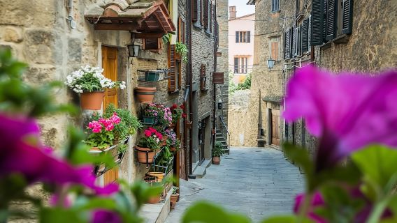 Cortona private walking tour