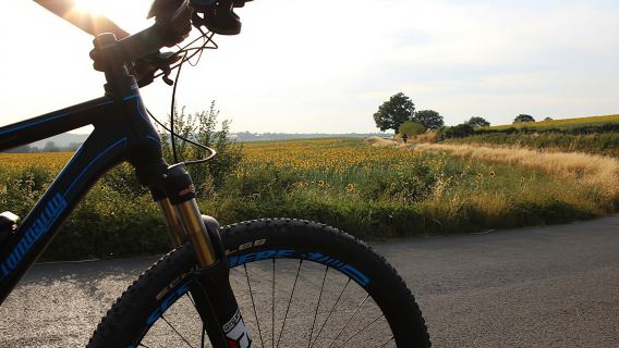Scenic E-Bike Tour in Chianti Wine Region with Lunch