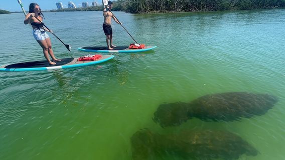 Dolphin and Manatee Adventure Tour of Naples with Florida History