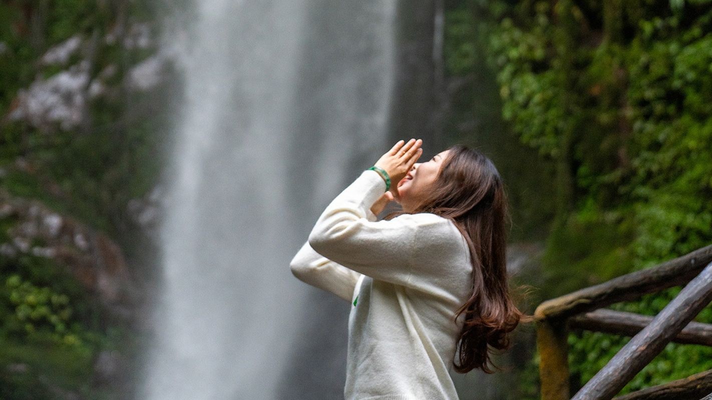 瑞麗接送瑞麗莫里莫里瀑布+一寨兩國+姐告口岸+獨樹成林一日遊