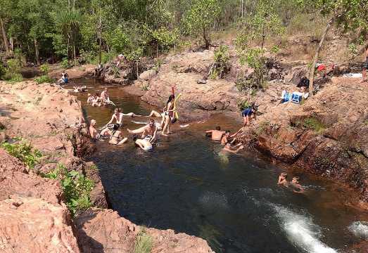 Litchfield National Park and Jumping Crocodile Cruise AUD 245.94