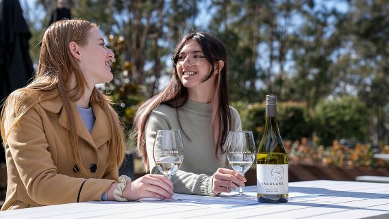Award-Winning Hunter Valley Wine & Cheese Tour from Sydney