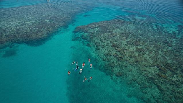 オーシャン・フリーダム グレートバリアリーフ ラグジュアリー・シュノーケリング&ダイビング・クルーズ
