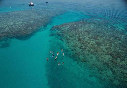 Ocean Freedom Great Barrier Reef Luxury Snorkel and Dive Cruise AUD 268.61