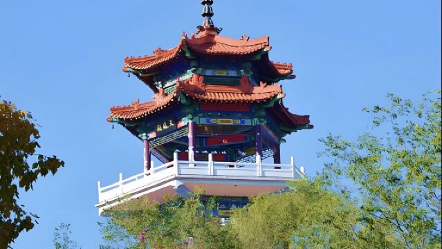 日本京都伏見稻荷大社-京都文化博物馆【中文專車 舒適純淨】