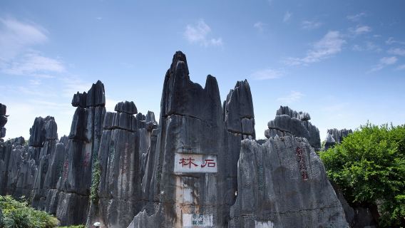 Excursion d'une journée à la Site touristique de pierre de Kunming et aux Site touristique de Jiuxiang | Voiture avec chauffeur de Voiture avec chauffeur en option