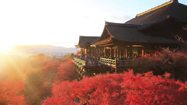大阪來回丨京都清水寺-伏見稻荷大社-宇治平等院一日遊