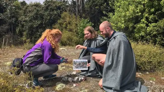 Full Day in Middle Earth - Lord of the Rings Tour