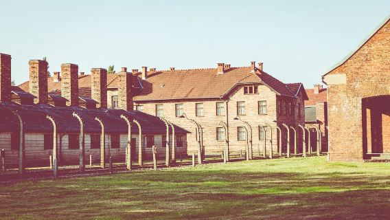 Warsaw to Auschwitz and Krakow Old Town Full-Day Trip by Car