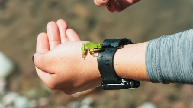 West Glacier: Glacier National Park Scenic Raft Trip