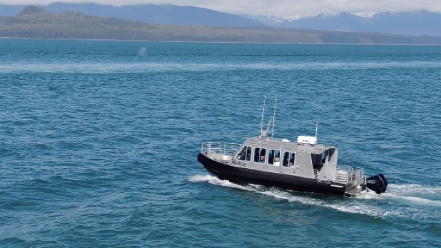 Hoonah: Icy Strait Whale Watch with Drone Filmography