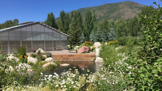 Aspen's Off the Beaten Path Scenic Walking Tour