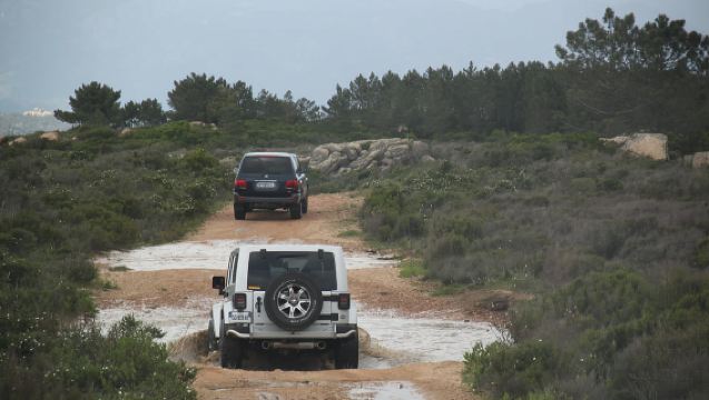 Porto-Vecchio : Excursion en 4x4 dans la Forêt de l'Ospedale et les Aiguilles de Bavella
